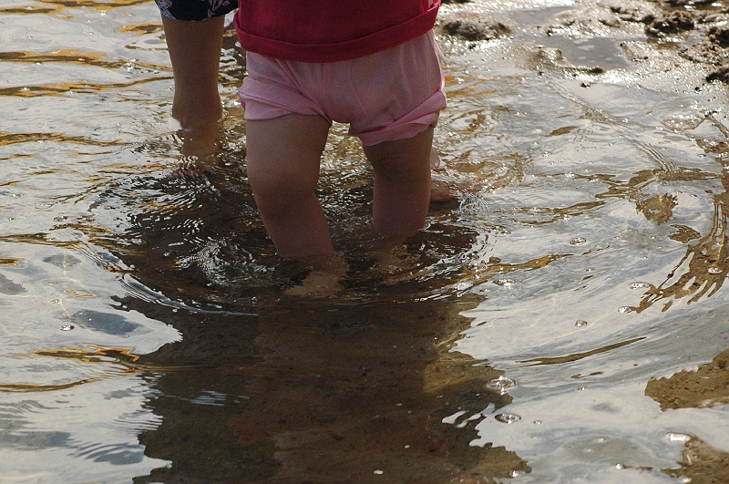 DSC_4558.JPG